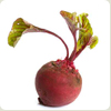beet