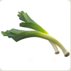 leek