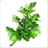 parsely