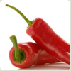 hotpepper