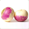 turnip
