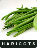 haricot