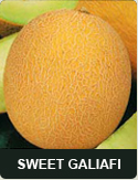 Sweet Galiafi