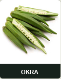 okra