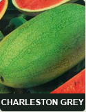 Charleston grey